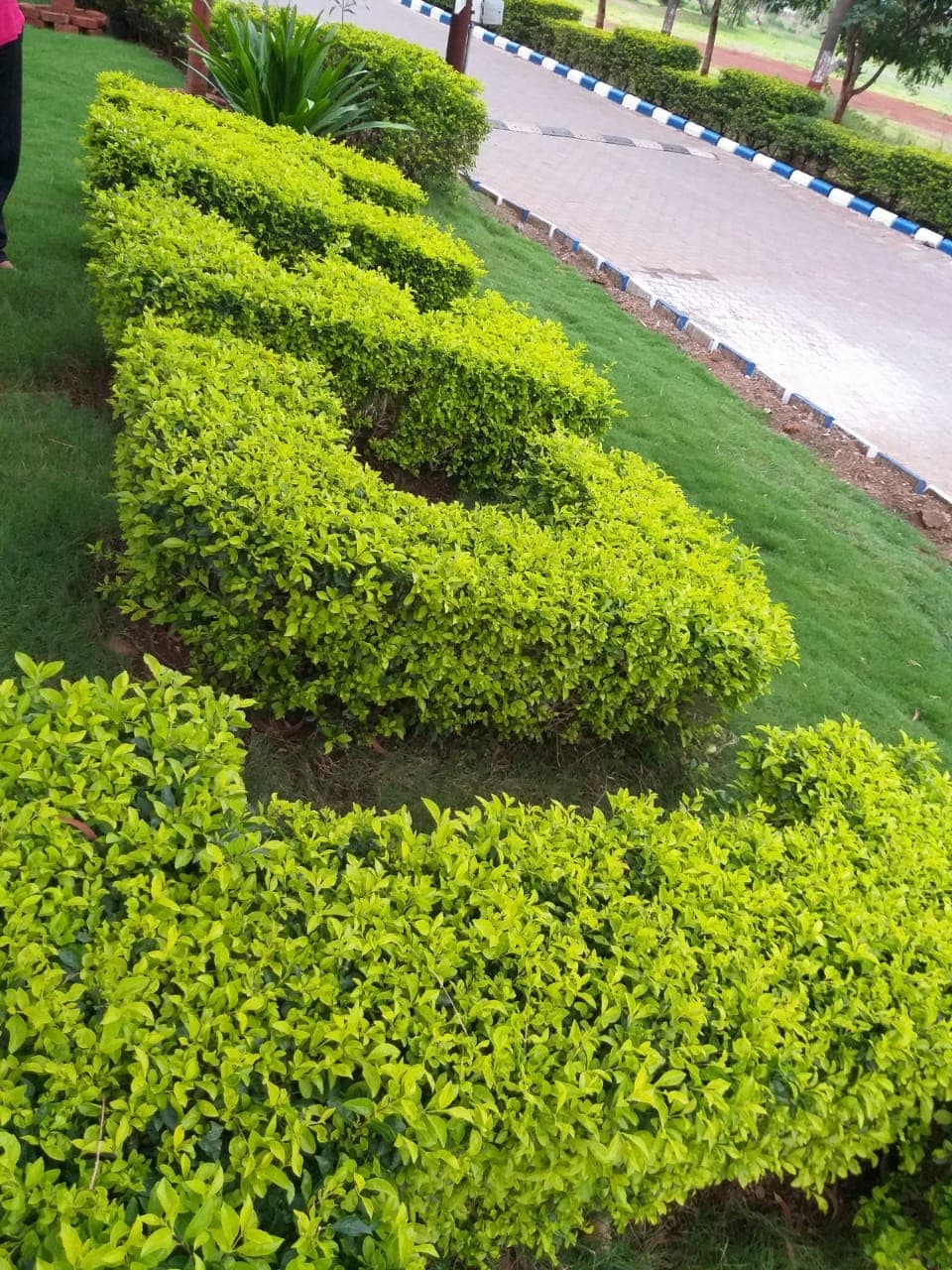 ICEM Campus photo 17